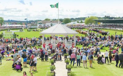 The Great Yorkshire Show 2020