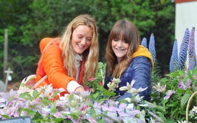 2020 Harrogate Spring Flower Show